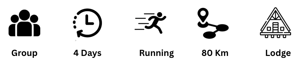Screenshot_2025-04-13_at_14.39.00-removebg-preview icon